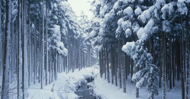 深圳风水大师