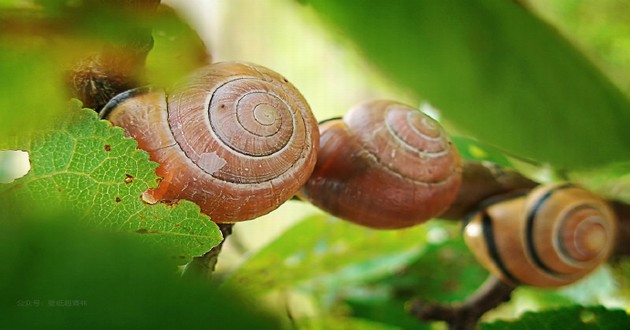 杭州风水大师