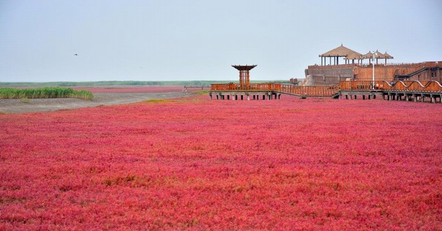 杭州风水大师