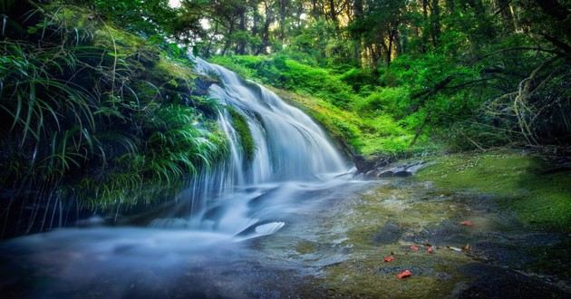 杭州风水大师