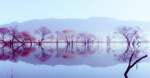 杭州风水大师