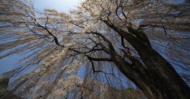 河北风水大师