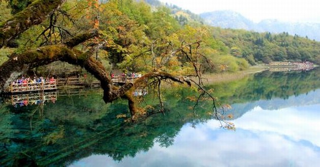 河北风水大师