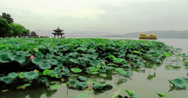 河北风水大师